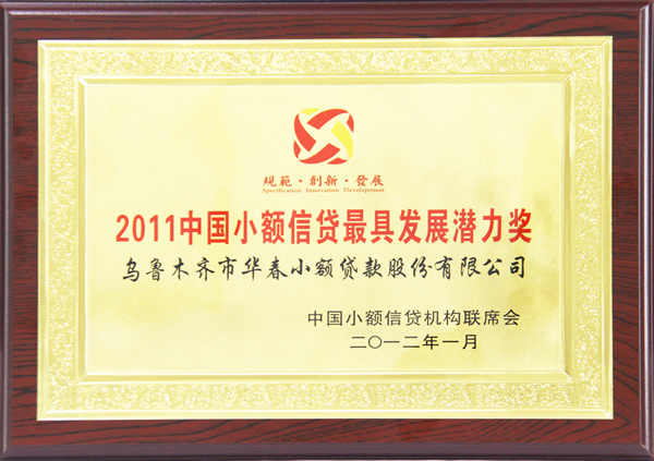 2011中國小額貸款最具發展潛力獎